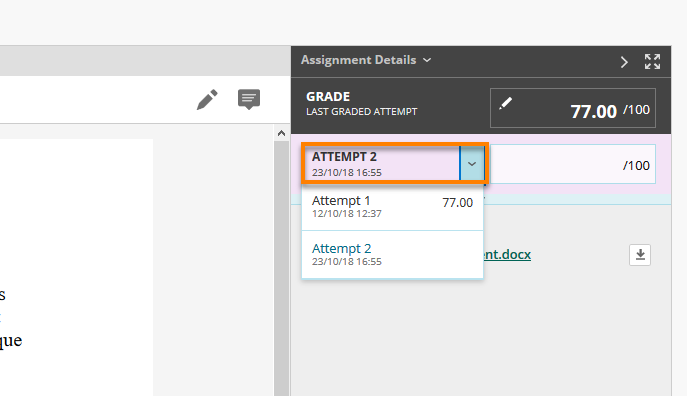 Assignment - view attempts drop down menu  in grading area