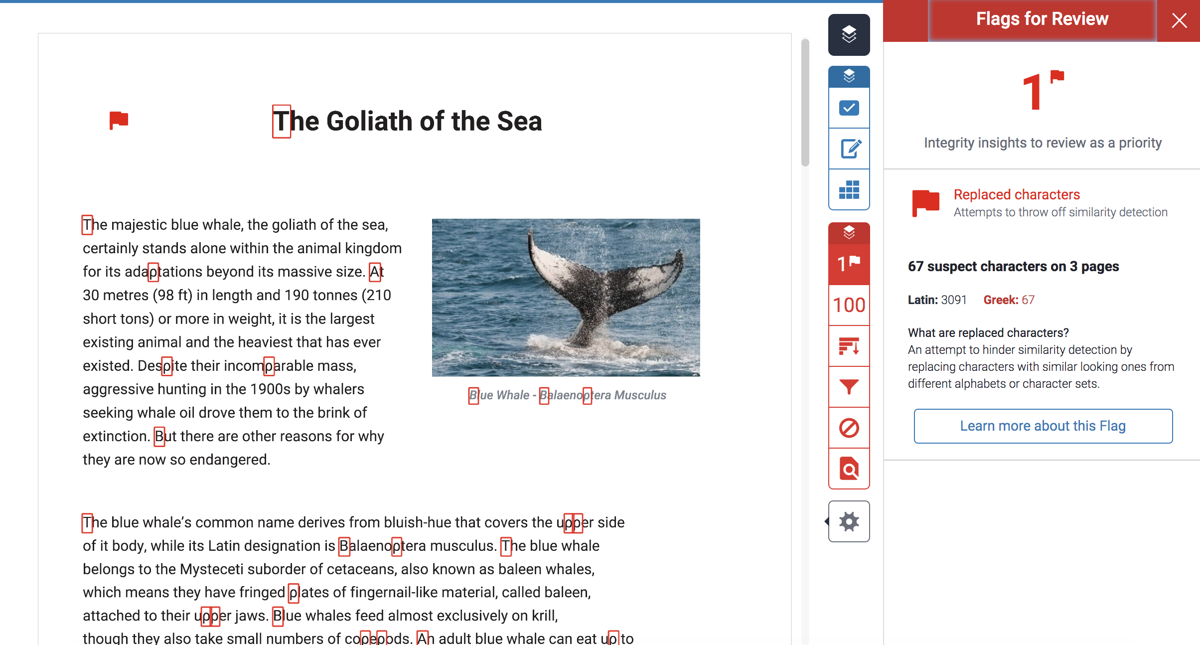 An example assignment in the turnitin feedback studio showing the flag feature and highlighted changed text