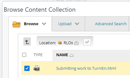 Selected file in the pop-up Content Collection window