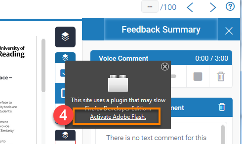 click on the "Activate Adobe Flash" link in the popup