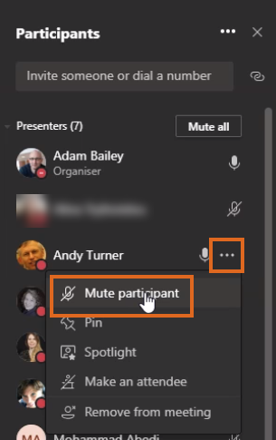 Teams - mute a participant